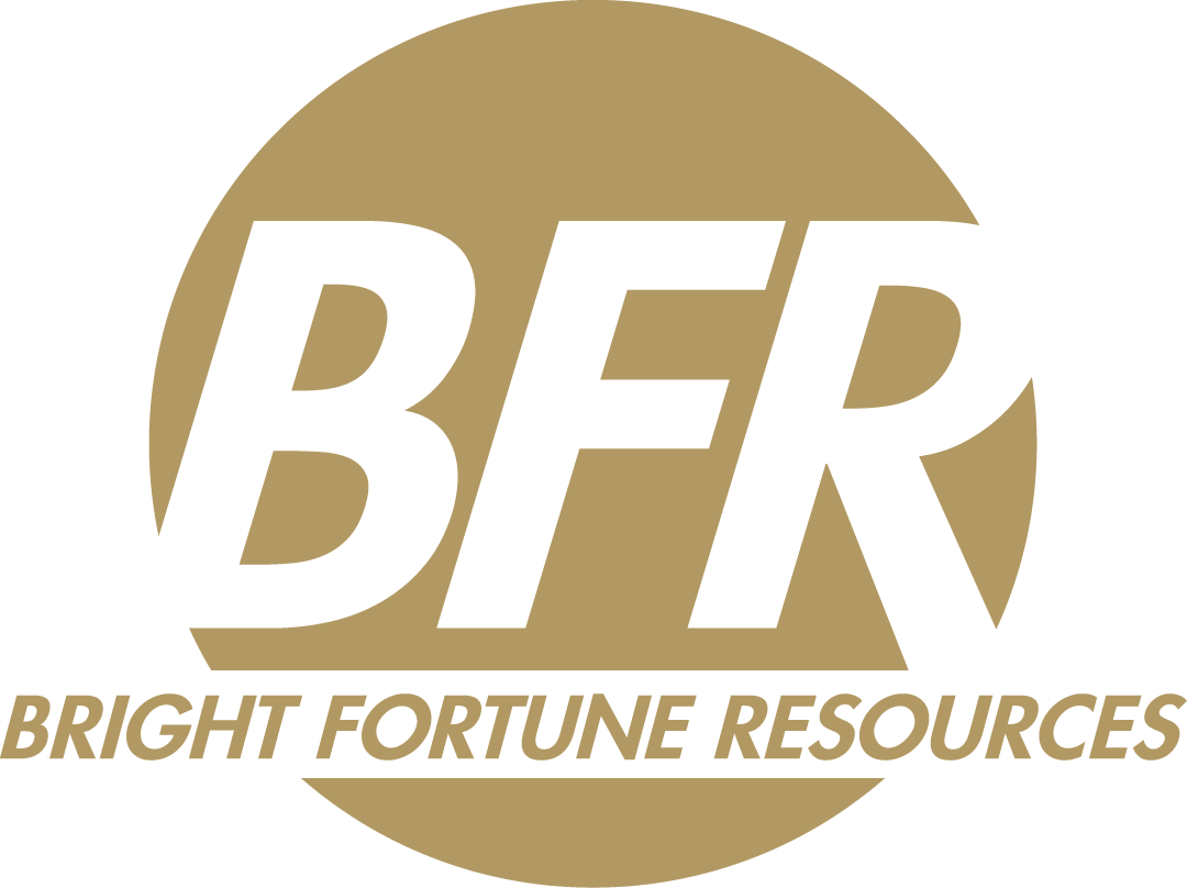 BFR_Logo